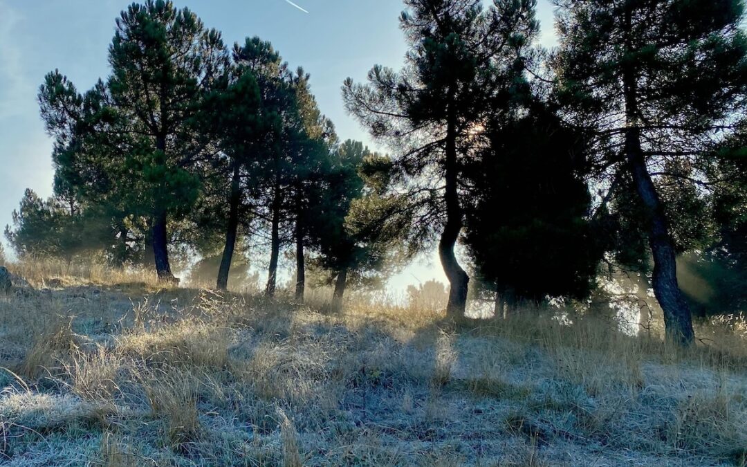 Espacios naturales de Calatayud