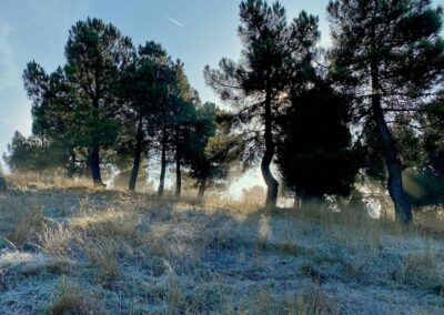 Espacios naturales de Calatayud